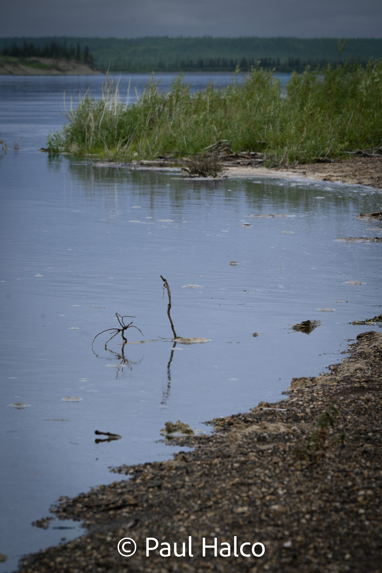 Paul Halco - Kobuk Valley NP-5